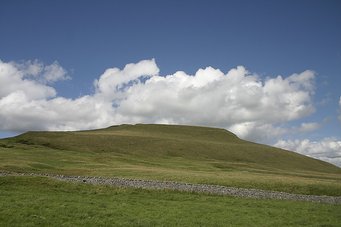 IMG_0116.JPG