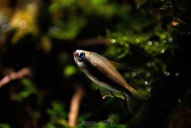 DSC_9955.jpg