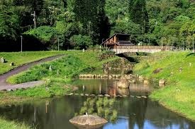 [台北旅遊]台北市第一座蜻蜓主題樂園， 金瑞治水園區美景如國