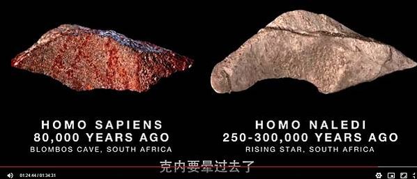 納萊迪人Homo naledi已經滅絕的人科物種「埋葬遺體」