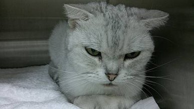 20110801122.jpg