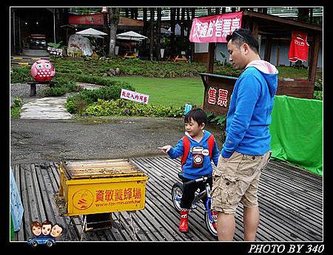 20121201_日月潭纜車0045
