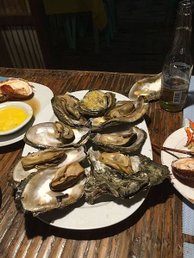 2016/0610-14  科隆—我的菲律賓離島最後一塊拼圖