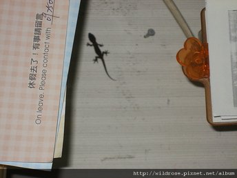 照片 056.jpg