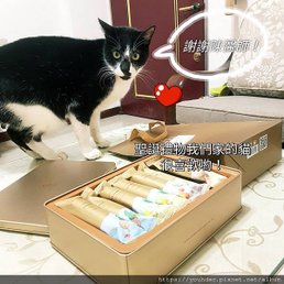 2023年耶誕禮物之一海邊走走華綜合蛋捲禮盒.JPG