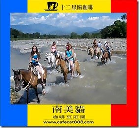 簡報1