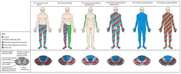 NTCC2e-Fig-07-10-0.jpg