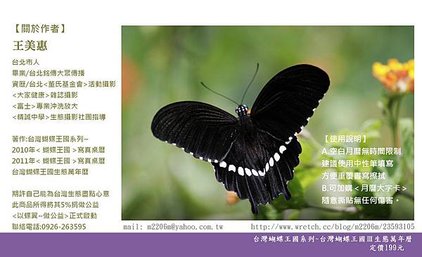 nEO_IMG_封底