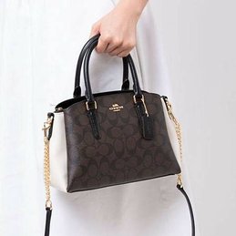 mini_sage_carryall_in_colorblock_signature_canvas_coach_f50054_brown_blackpink_multiimitation_gold_1567283297_fb1fa0810_progressive.jpg