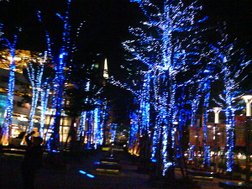 DSC07237.JPG