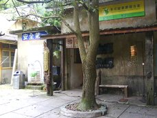 DSC06920.JPG