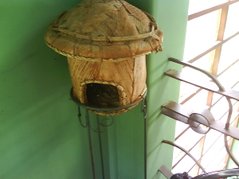 DSC06883.JPG