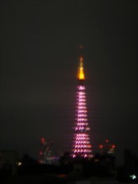 DSC03905.JPG