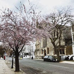 ACS_0111.JPG