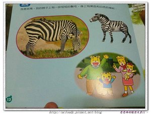 照片 008.jpg