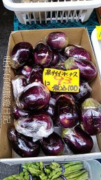 P_20160830_112743.jpg