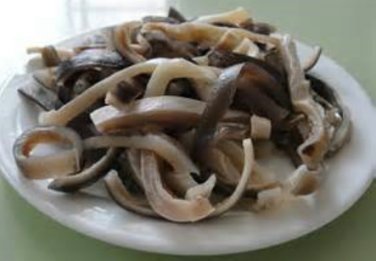 鯊魚頭4