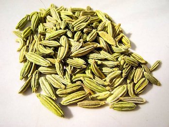 fennel