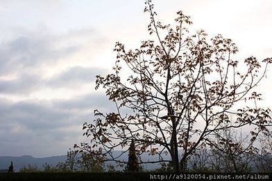 IMG_7048.jpg