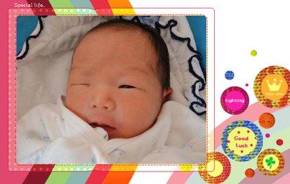 WINK-1.jpg