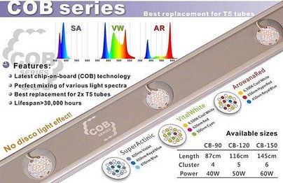 COB series 燈具.jpg