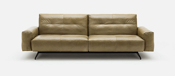 rolf benz 50 sofa_2