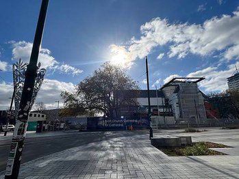 【紐西蘭之旅】基督城市中心一日遊 - 輕鬆漫步遊覽所有景點🩵