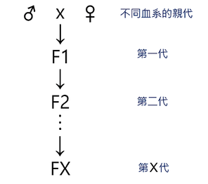 擷取1.PNG