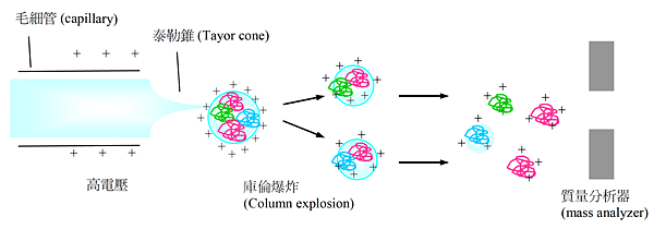 96-特考-化學鑑識03.png