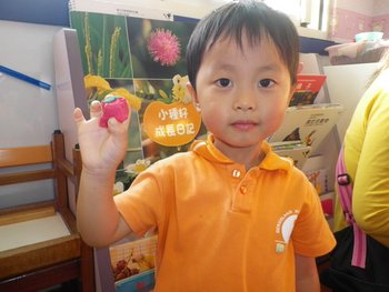 IMGP3039-1.jpg