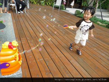 IMGP3628-1.jpg