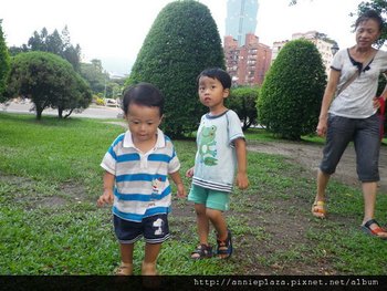 IMGP3800-1.jpg