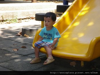 IMGP3885-1.jpg
