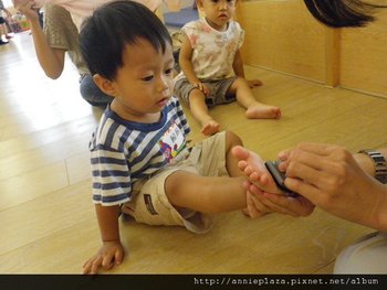 IMGP4284-1.jpg