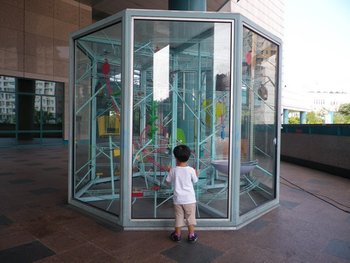 IMGP0456-1.jpg