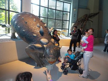 IMGP1164-1.jpg