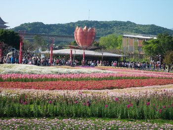 IMGP2549-1.jpg