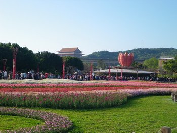 IMGP2567-1.jpg