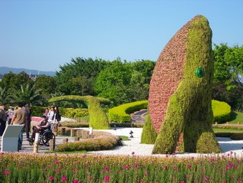 IMGP2551-1.jpg