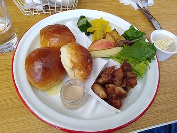 IMG_20220930_114543.jpg