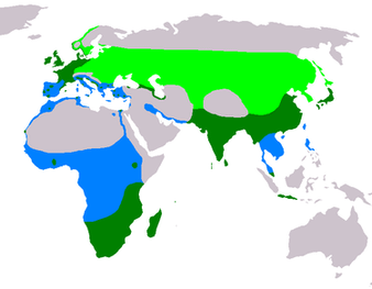 375px-Ardea_cinerea_map.png