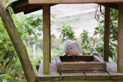 IMG_3582_副本