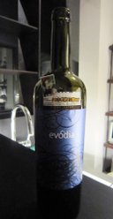 2011 Altovinum Evodia Old Vines Garnacha