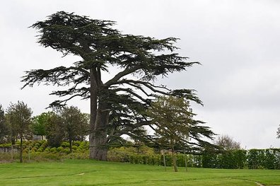DSC_0163.JPG
