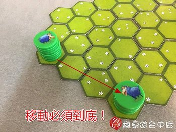 綿羊爭牧場_08.JPG