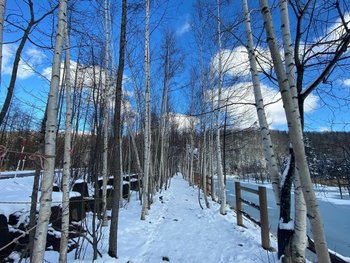 LINE_ALBUM_10522_221005_18.jpg