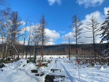 LINE_ALBUM_10522_221005_22.jpg