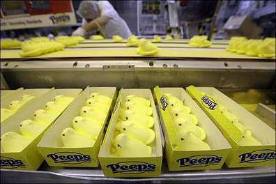 Peeps-Portrait-14.jpg