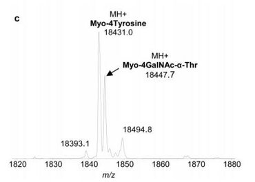 JACS2004MS.JPG