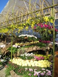 IMG_4020